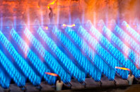 Lushcott gas fired boilers
